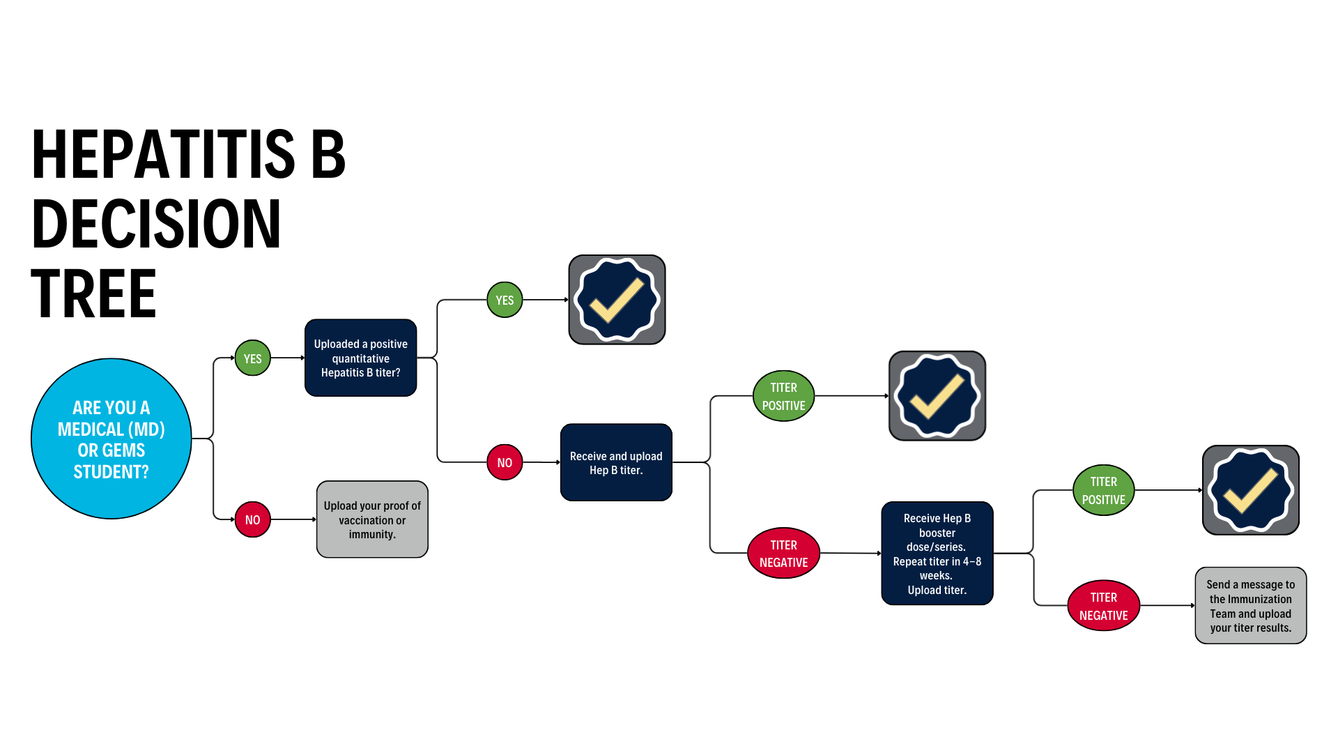 Hepatitis B decision tree flowchart for Medical Students